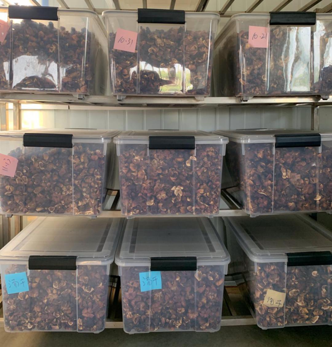 现在卖无花果直播,买无花果直播间