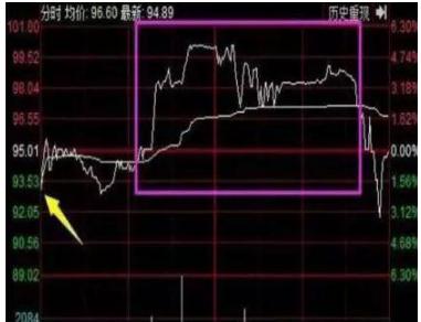 厦大女博士最新消息,厦大女博士讲股票