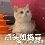 发了几条朋友圈被判赔80万元,发了几条微信朋友圈判赔80万元