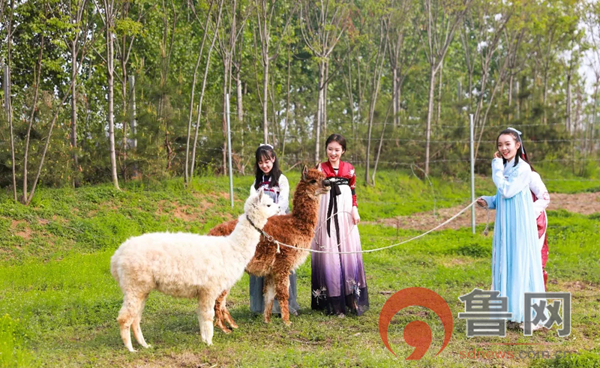 祥和庄园4月29日开园啦!向往的生活从这里开始