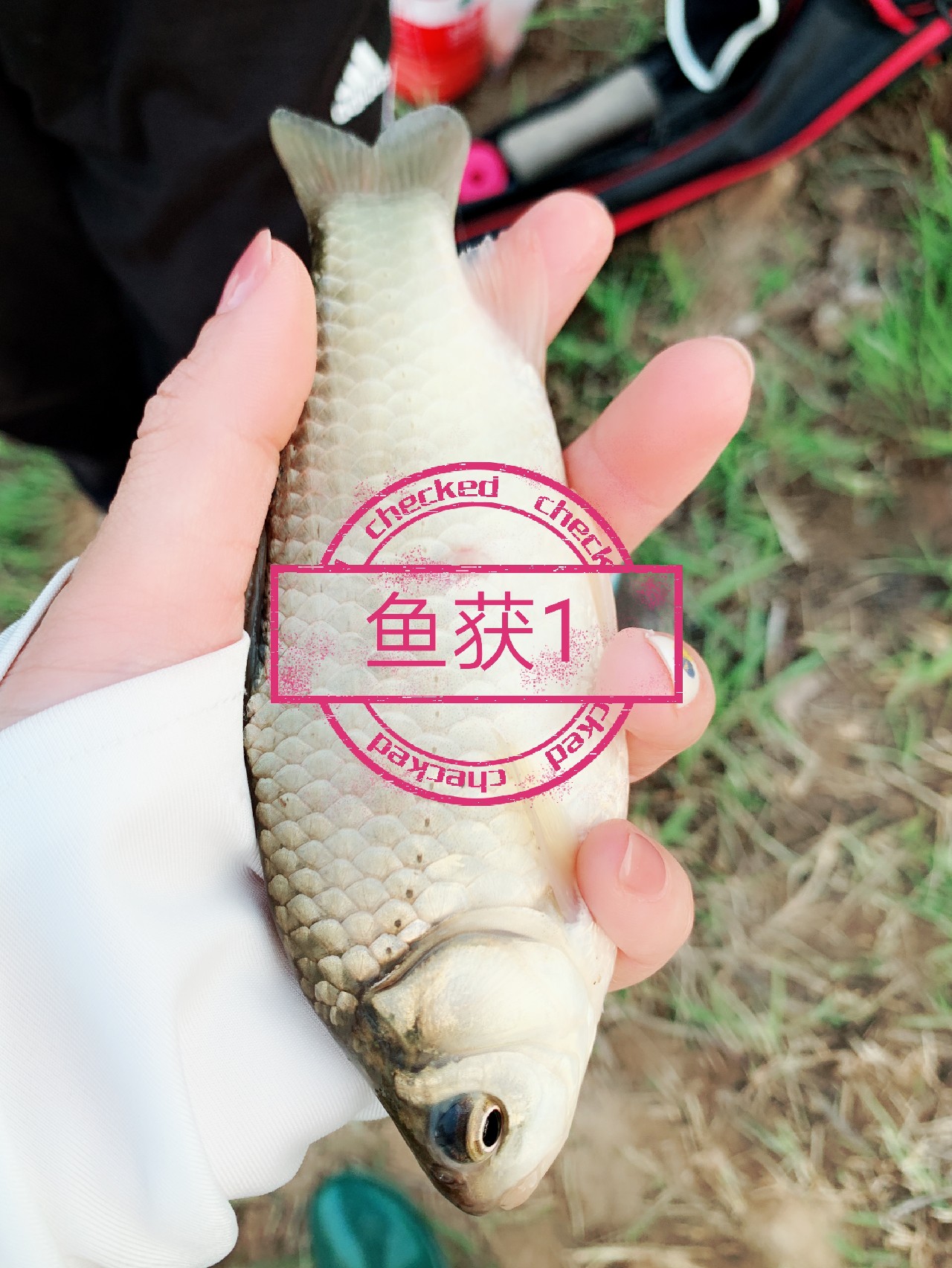 出钓带上媳妇：钓者心如水，伊人最浓情