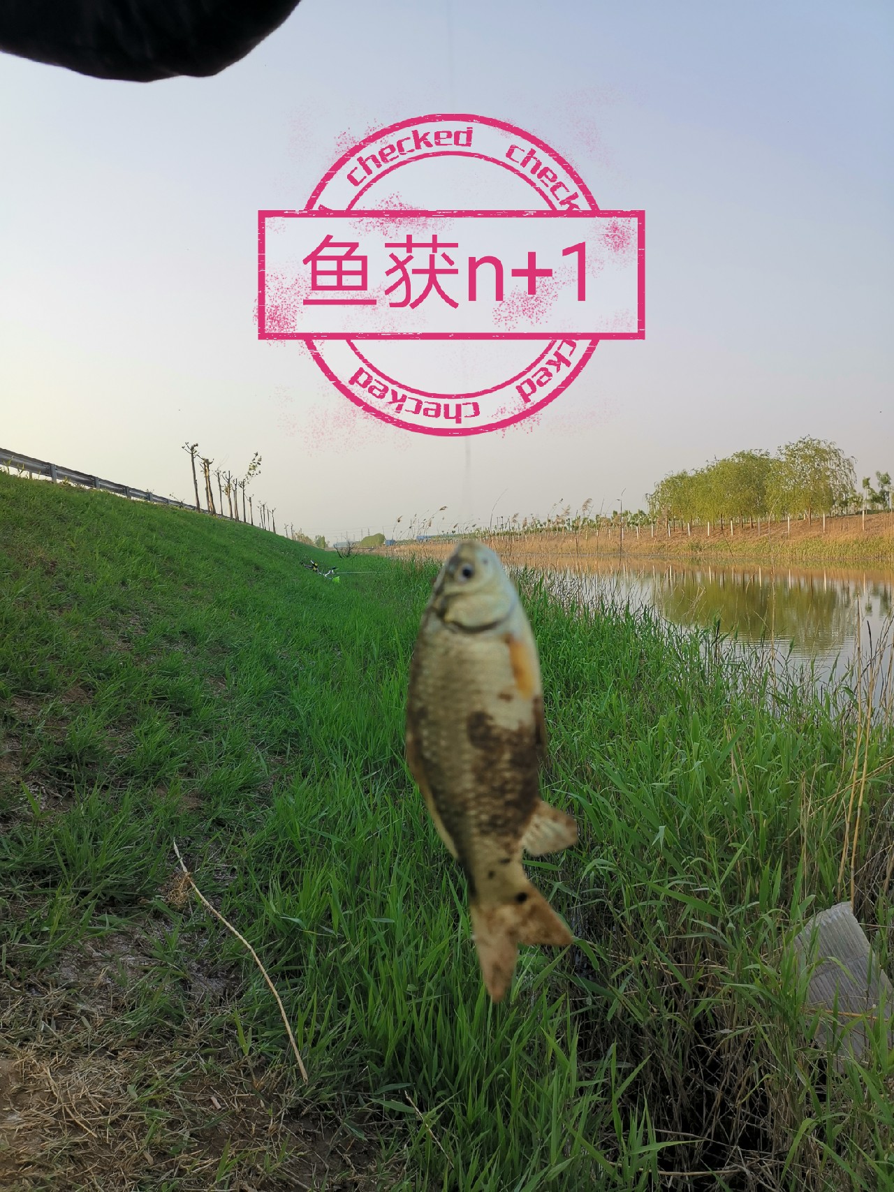 出钓带上媳妇：钓者心如水，伊人最浓情