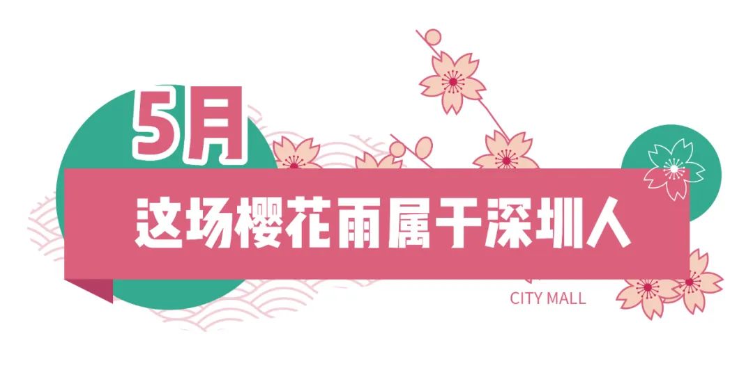 五一打卡超大的油菜花田,五一打卡家门口的花海