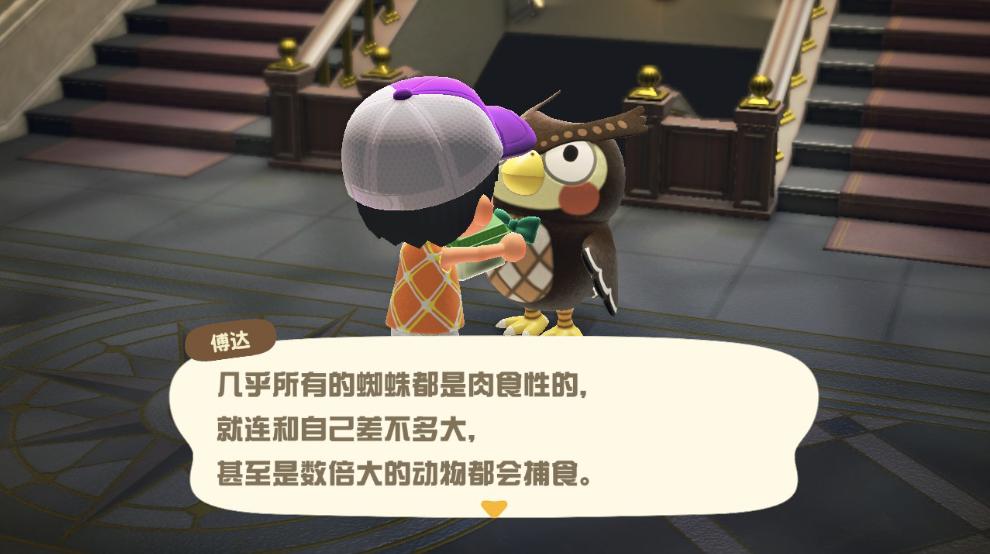 动物森友会玩些什么,动物森友会能2人用一个switch玩么