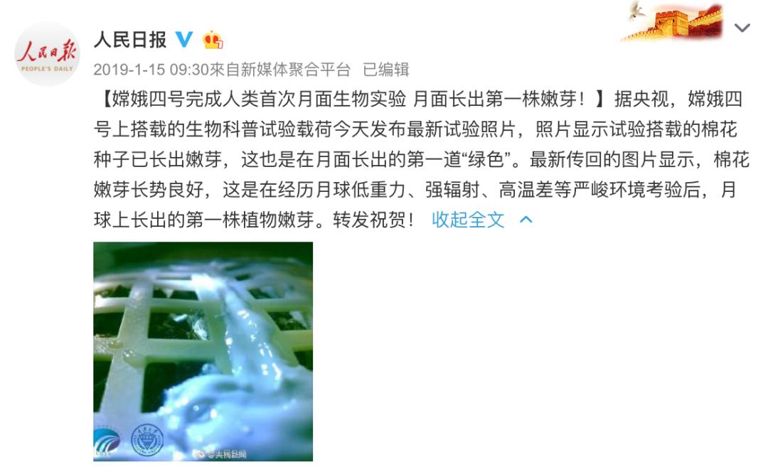 干掉千年沙漠,千年沙漠种树有多厉害