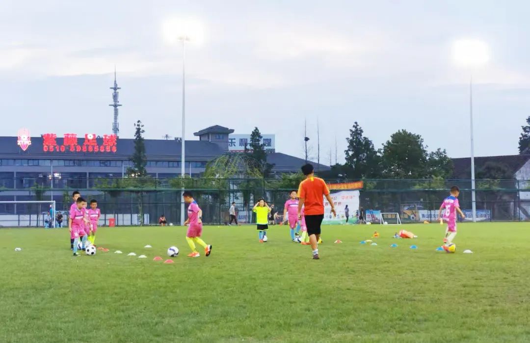 健身步道最新视频,健身走起跟着节奏嗨起来