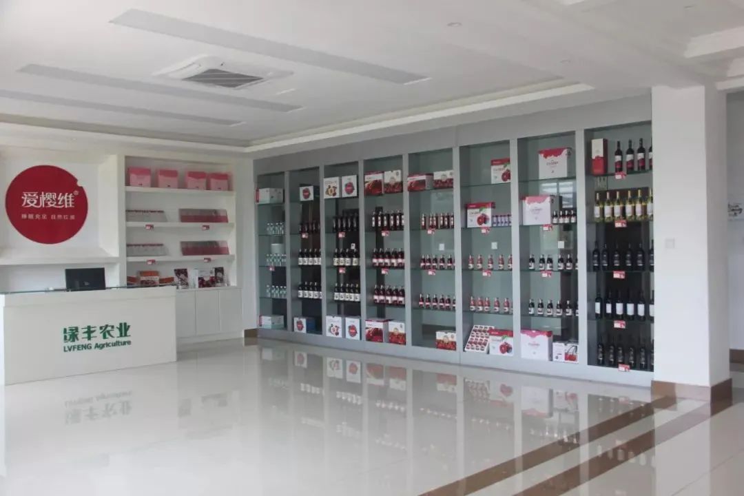 樱桃熟了五一好去处,采摘樱桃好去处五莲