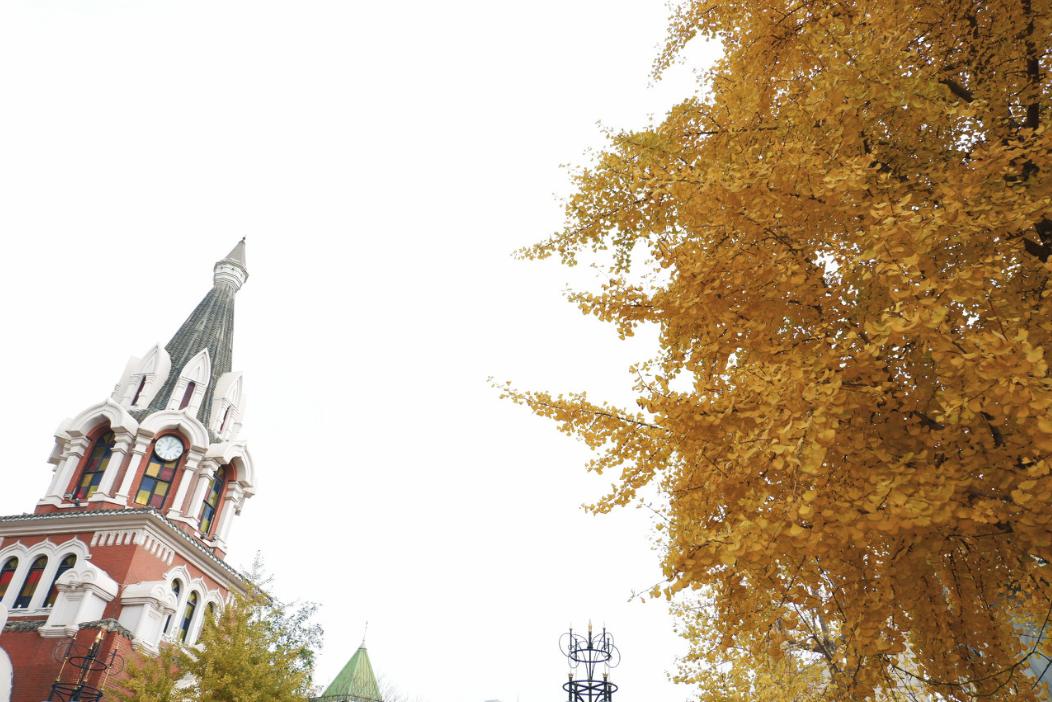 美过三亚！比厦门浪漫！中国这座海滨老城，去一次相当于环游世界