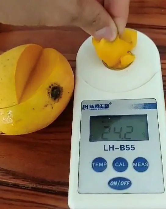 小台芒纯甜多汁1斤,台农小芒果9.9元5斤