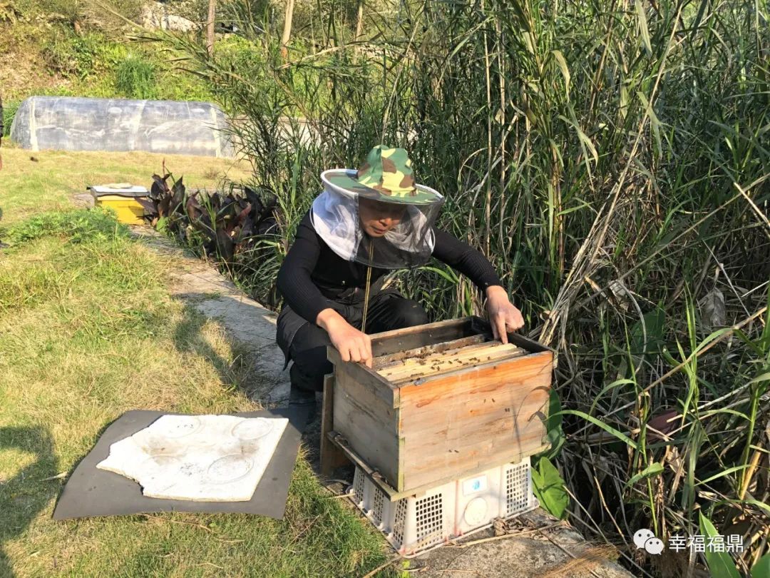 缓坡叠石,叠石景观石