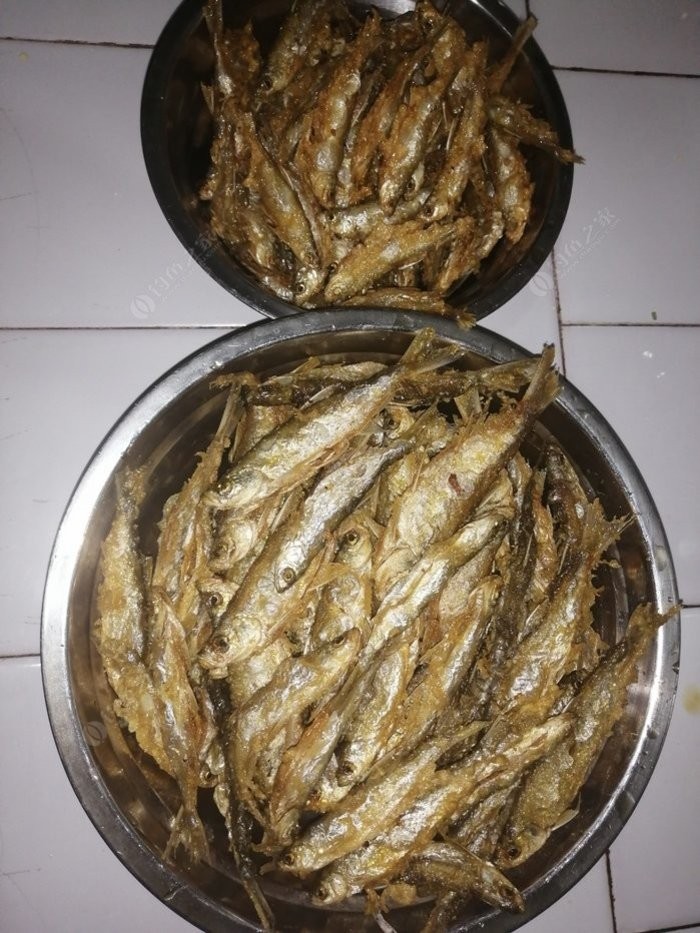 野钓小鱼闹窝怎么办用几号钩,野钓小鱼闹窝怎么解决