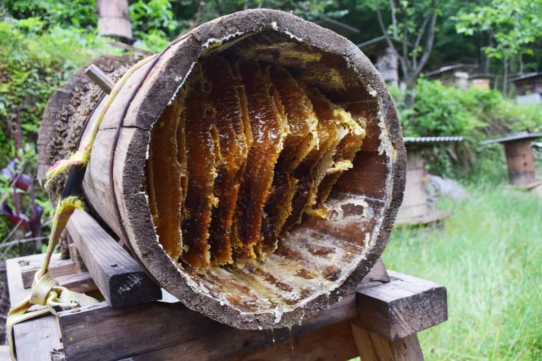 酿造百花蜜,酿造农家百花蜂蜜