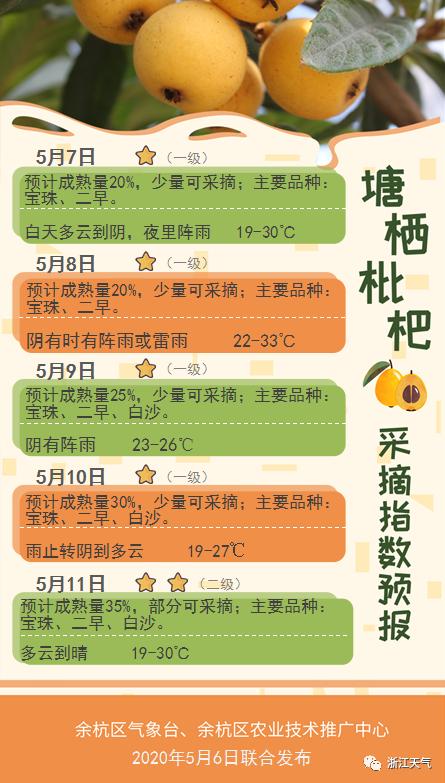 塘栖枇杷熟了！有了这份指南，吃货们必定不虚此行！