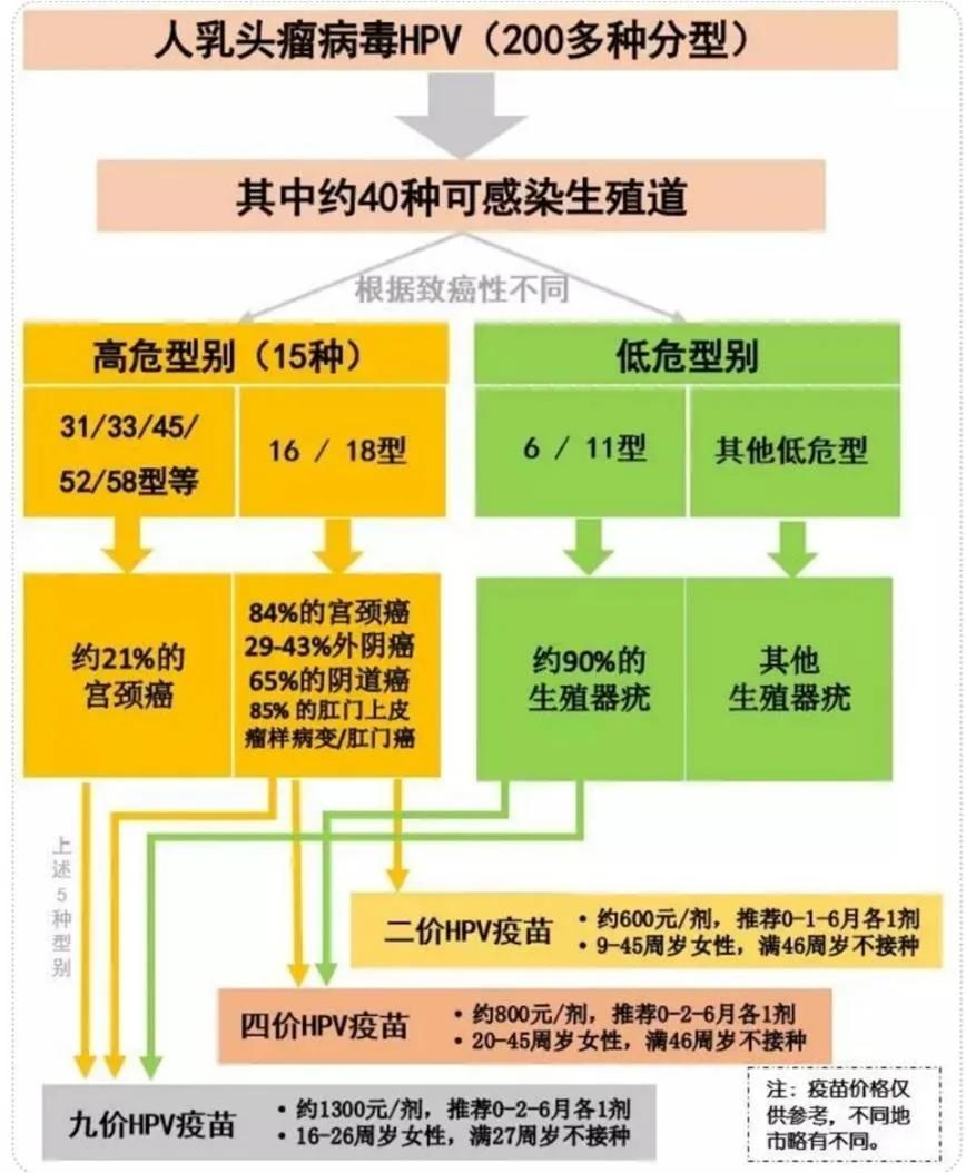 关于宫颈癌和hpv的科普视频,宫颈癌和HPV相关