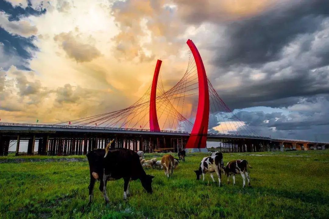 明日！嘎查达、村长、书记集体直播带货，速来购买