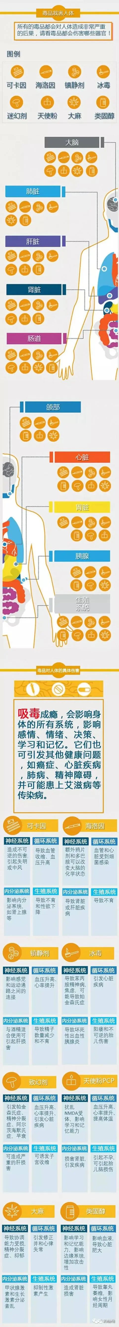 明星吸毒付出的代价,吸毒会让你付出多少代价