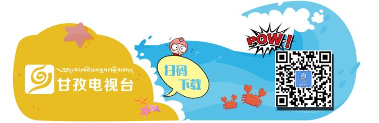 野生新虫草上市,新鲜货虫草