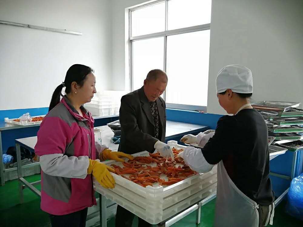 “齐”心“鲁”力｜山东蓬莱：合作社圆了独臂老人“脱贫梦”