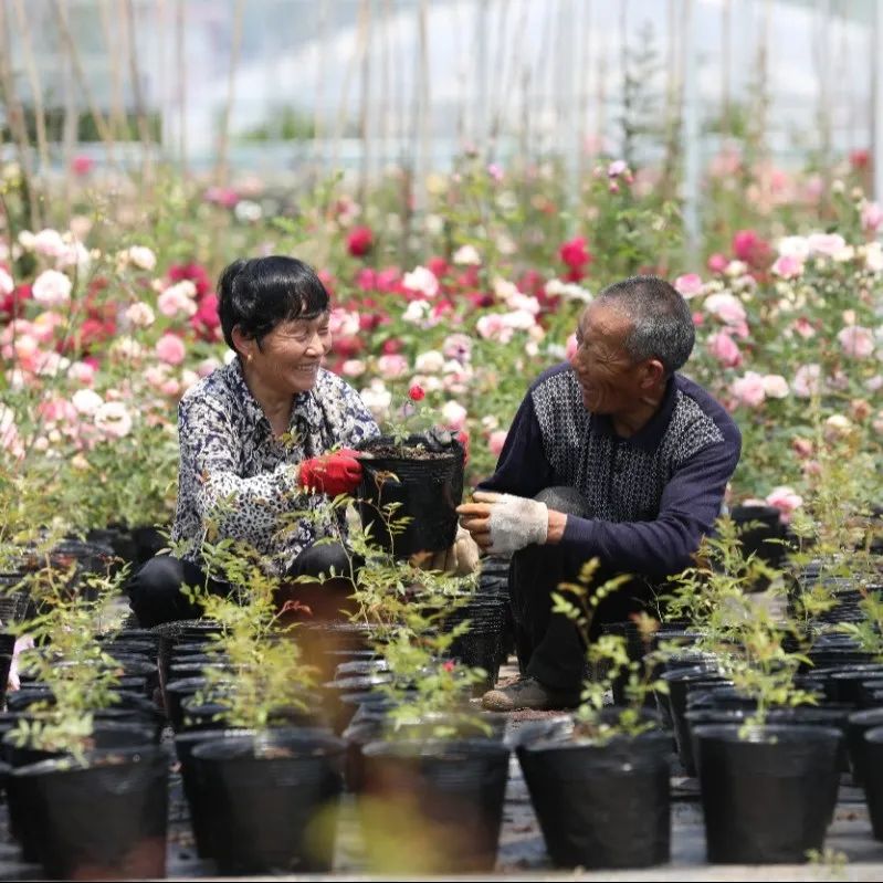 国务院通报表扬沭阳,沭阳县被表彰