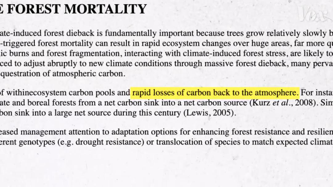三个月砍掉20个曼哈顿，一年砍掉一个国家，亚马逊已经到了最危急的时候