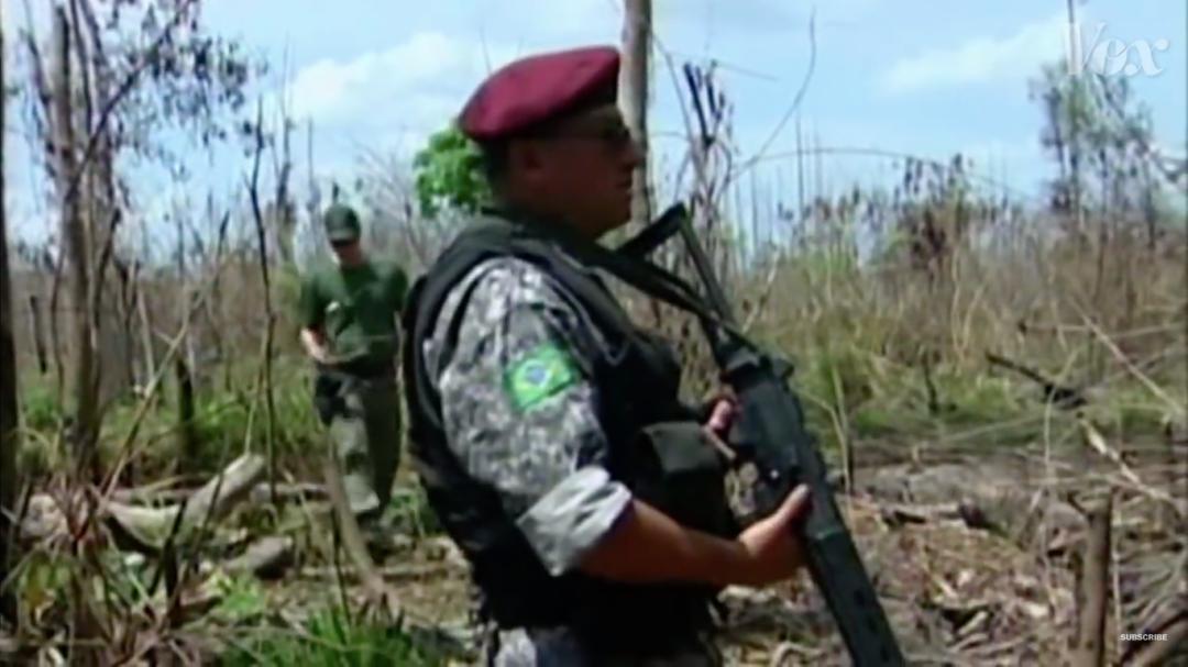 三个月砍掉20个曼哈顿,一年砍掉一个国家,亚马逊已经到了最危急的时候