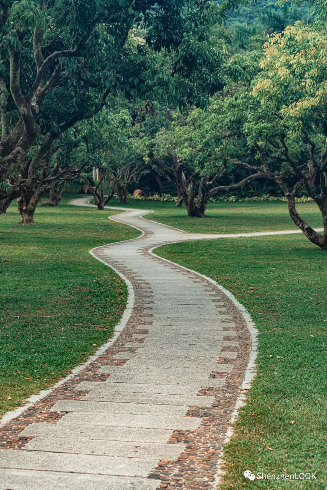 严浩翔说look这是tnt什么舞台,look这是什么牌子的包包