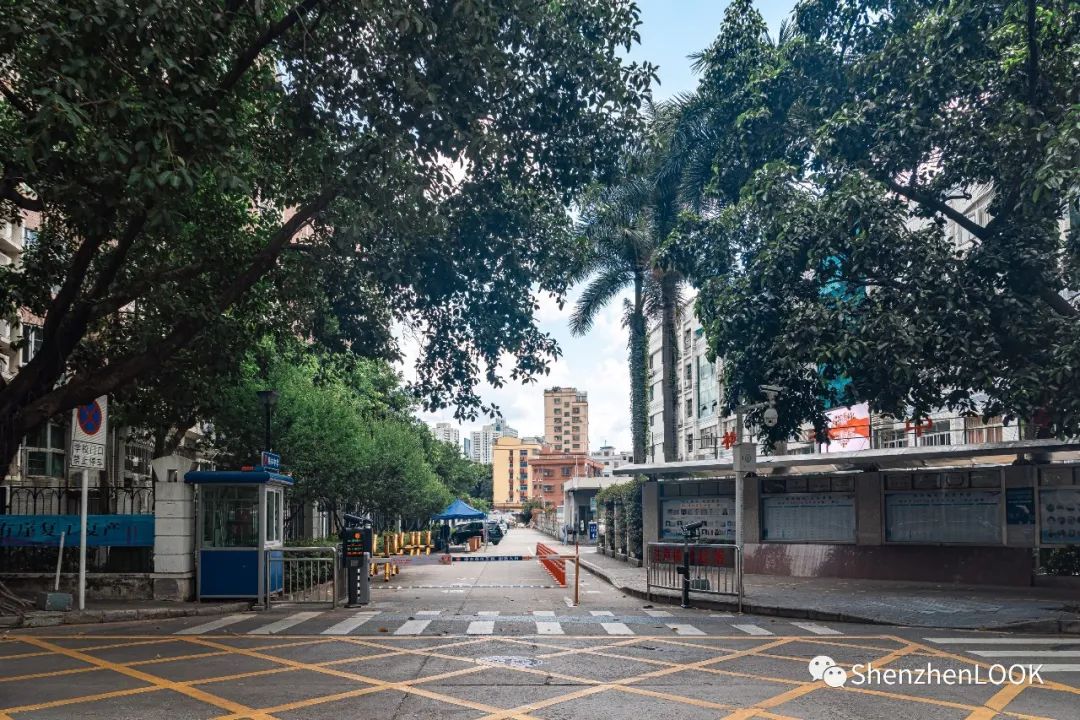 严浩翔说look这是tnt什么舞台,look这是什么牌子的包包