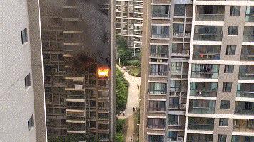 避免蚊香带来危害的方法,驱蚊灭蚊同时用