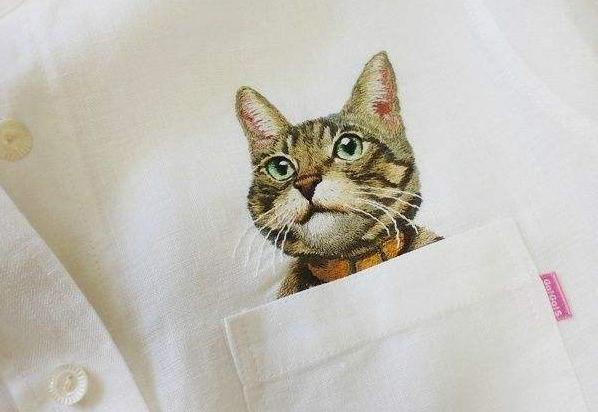 她把喵星人装口袋里，一只300美元