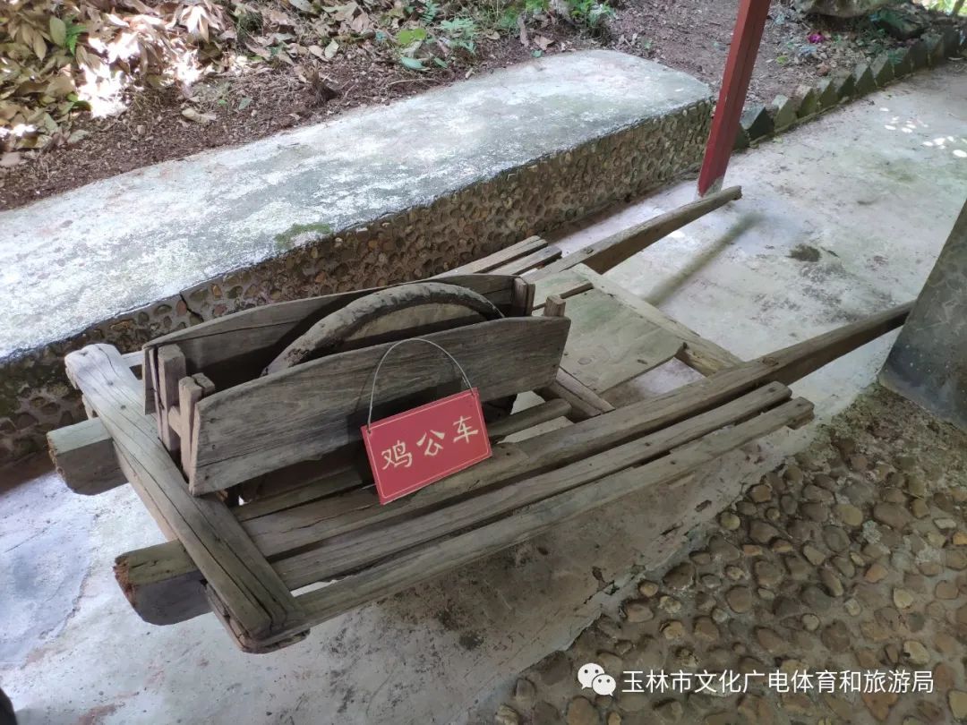 分享|“云游”林间小屋、石砌村道、稻田果树！乡村康养的好去处