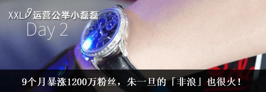 公众号最新认证,公众号申请成功显示新注册公众号