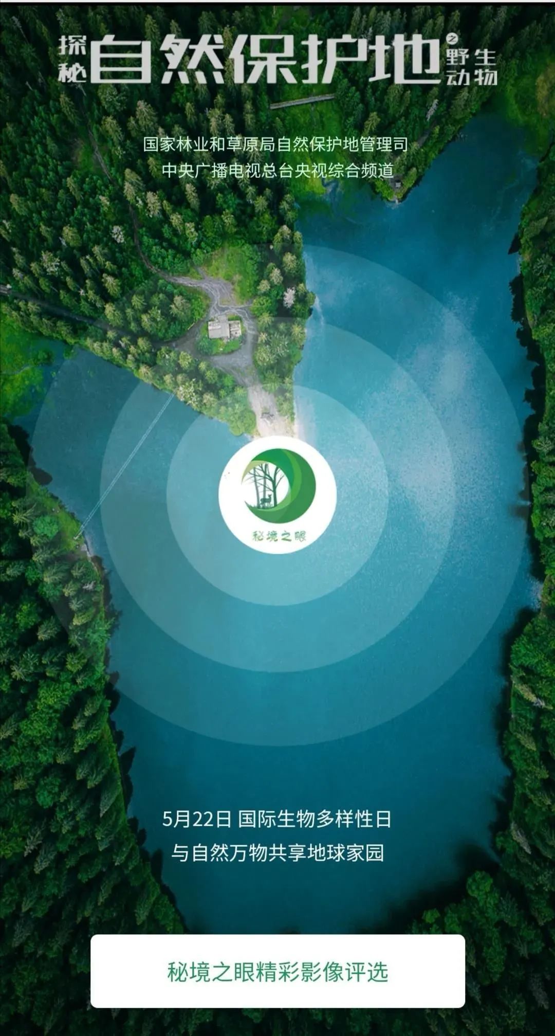 盐城最厉害的勺子,盐城铜勺子