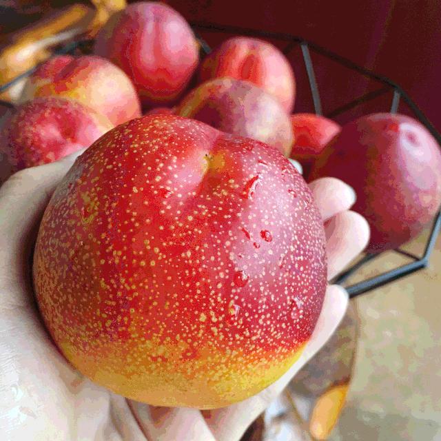 油桃汁水,黄心油桃5斤应季大桃子