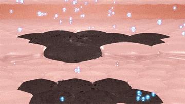 长期补充胶原蛋白的人怎么样了,长期喝胶原蛋白的人最后怎么样了