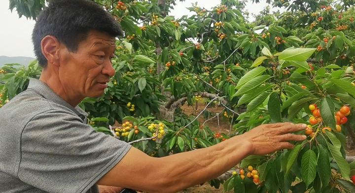 省内文旅复兴，打了个漂亮的翻身仗！周边游“解锁”，农家乐小院迎客来