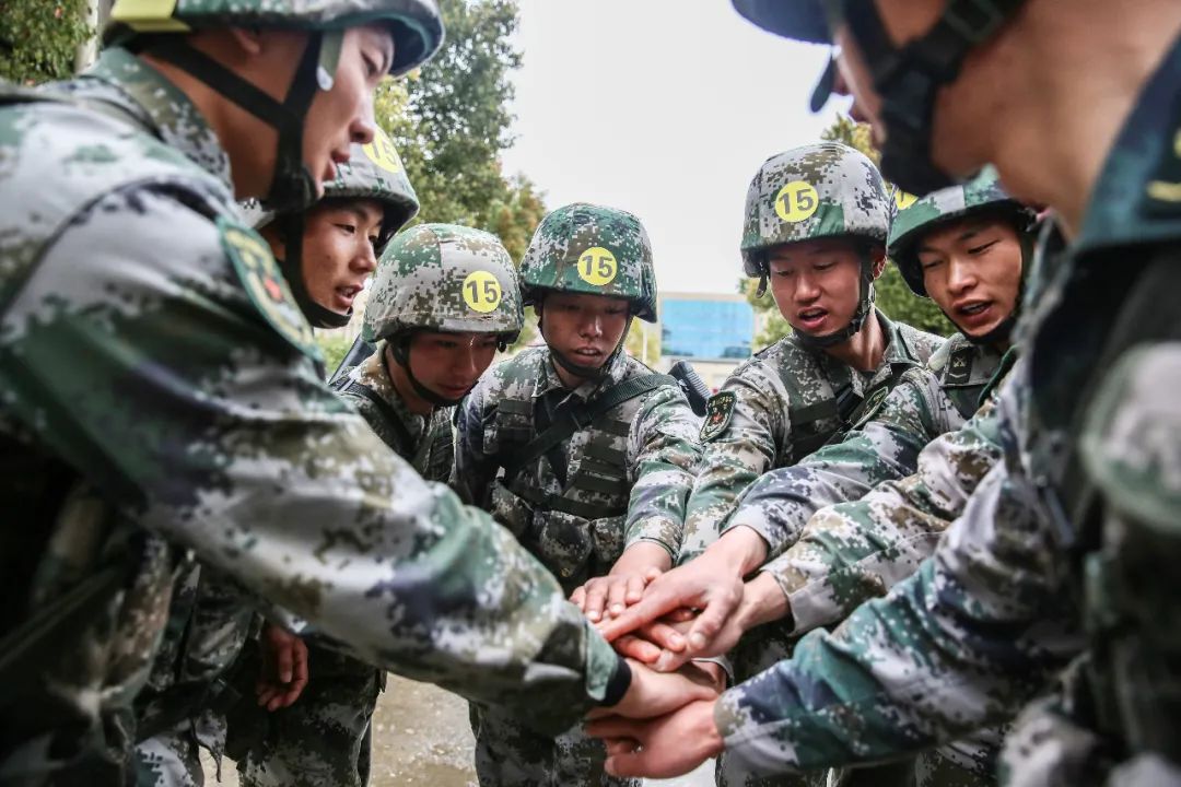 东部战区陆军下辖部队,北部战区陆军四个作战旅团