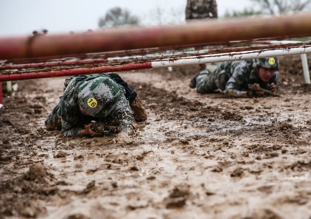 东部战区陆军下辖部队,北部战区陆军四个作战旅团
