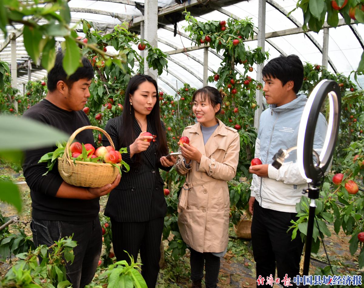 2022年砀山油桃的销量,砀山葛集镇油桃电商节