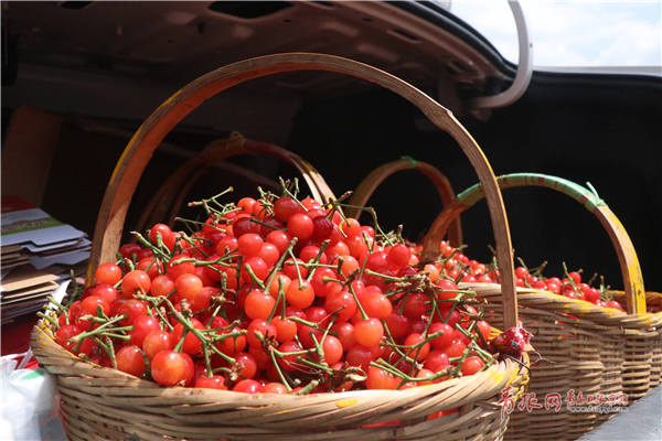 如何完善樱桃的运输配送 (顺丰共拓樱桃销售渠道)
