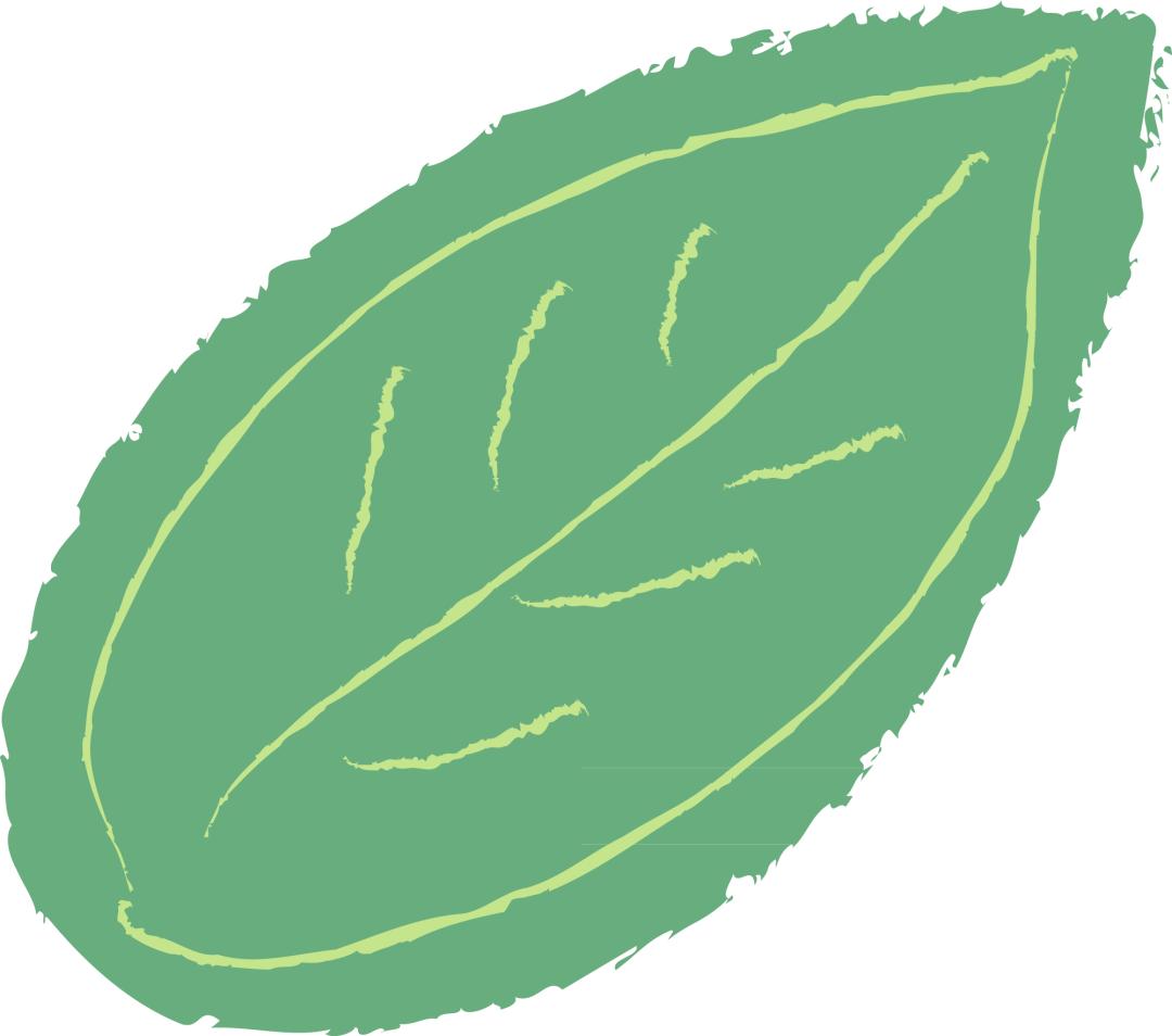 万人推介张家界莓茶活动,绿水青山中国行之张家界莓茶