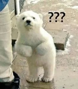 雷佳音怎么回事,优衣库雷佳音