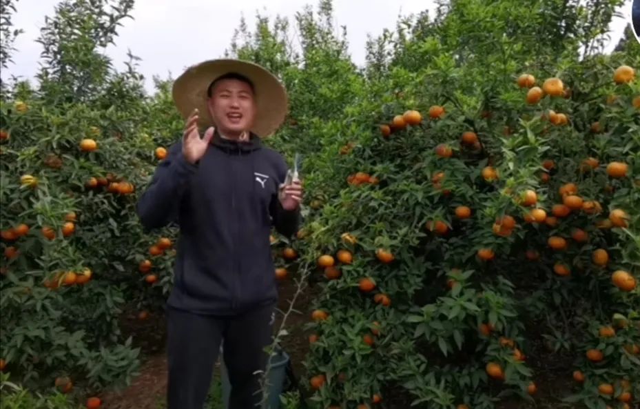 诞生在疫情中的“流量新秀”：有的转型成功，有的无人问津