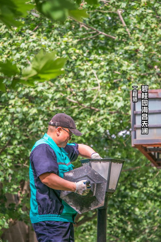 择一城终老520遇一人白首,择一城爱一人终一生