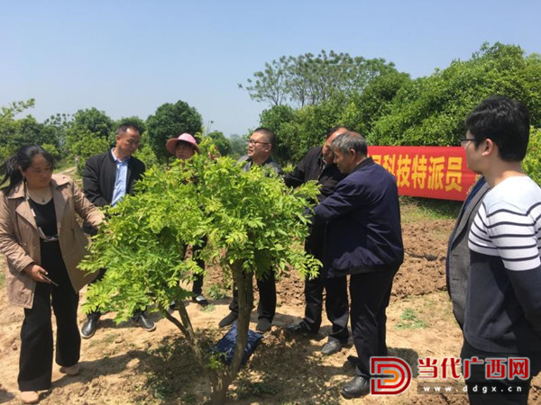 农业特派员助力脱贫攻坚,全县扶贫科技特派员