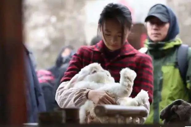 成都知名兔头,成都兔头有多久历史