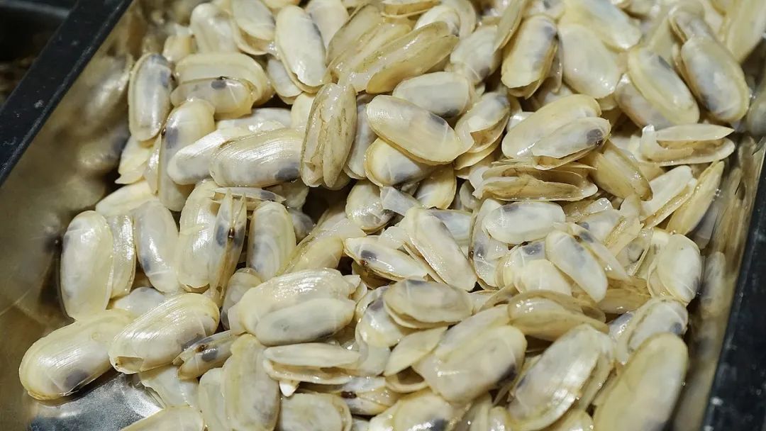 “浙C”注册不下来，愁坏温州老板娘！老乡老乡，真的是背后一枪？