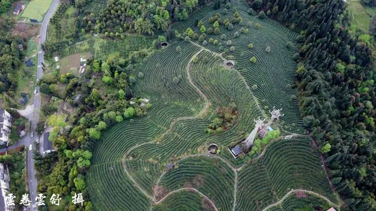 真香！去乐园耍水，到秘境观溪，本周门票福利已送达~
