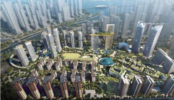 深圳，这只老虎终于要发威了