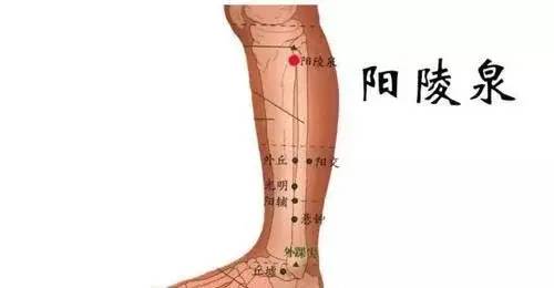 脾胃不好胃口差?按摩身体这5个穴位,让你远离脾胃虚弱