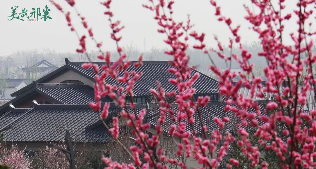 河北公开招聘268人,邢台市信都区招聘105人